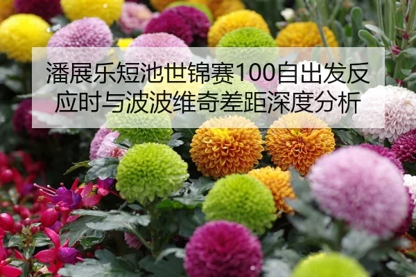 潘展乐短池世锦赛100自出发反应时与波波维奇差距深度分析
