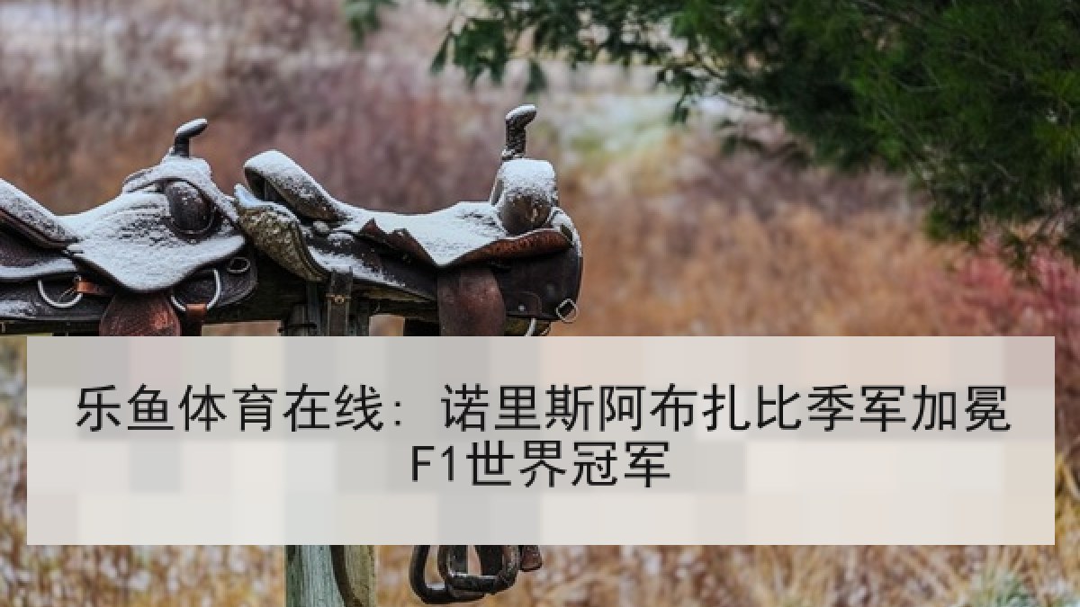 乐鱼体育在线: 诺里斯阿布扎比季军加冕F1世界冠军