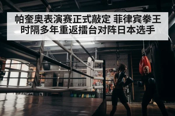 boxer training gym